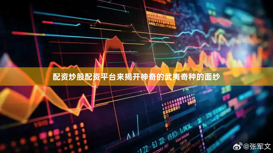 配资炒股配资平台来揭开神奇的武夷奇种的面纱